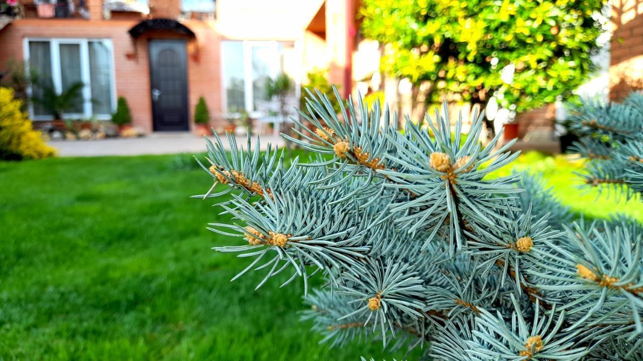 Green Garden Tbilisi Exteriör bild