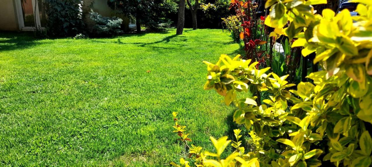Green Garden Tbilisi Exteriör bild